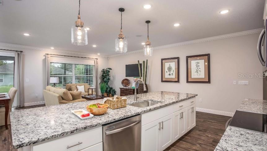 A modern kitchen features white cabinets, quartz countertops, stainless steel appliances, and wood-look flooring — 3645 E SANDERS AVENUE, INVERNESS, FL