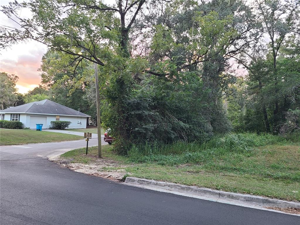 A vacant, wooded lot sits next to a residential house and a paved street — NW 183 PLACE, HIGH SPRINGS, FL