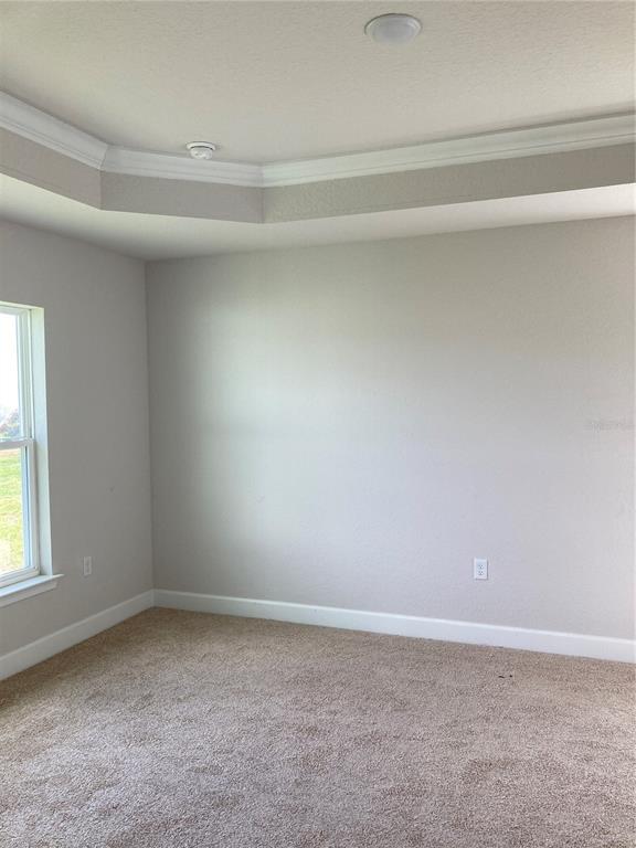 An empty bedroom features beige carpet, light gray walls, and a tray ceiling — 12609 NE 48TH STREET, OXFORD, FL