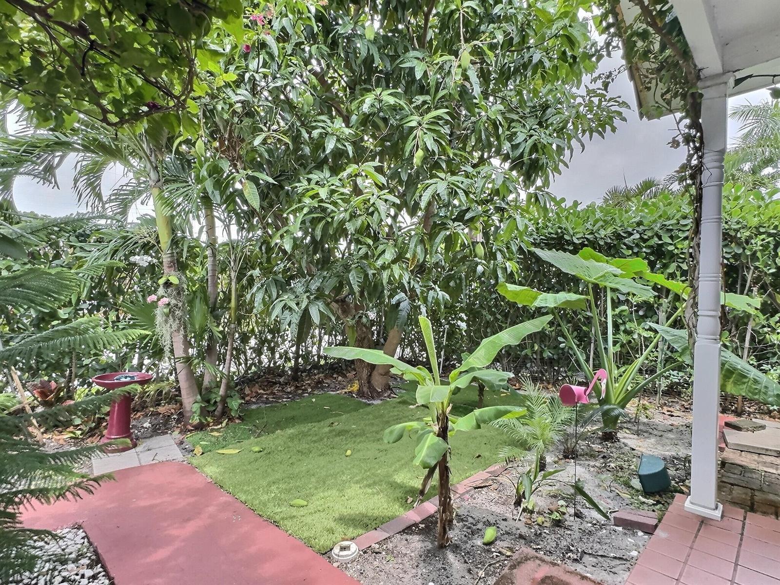 A backyard garden features a small patch of artificial turf, a mango tree, and plants — 4570 NW 16th Terrace, Tamarac FL 33309, TAMARAC, FL