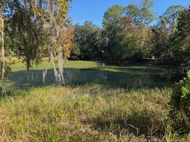 A pond is surrounded by tall grass and trees with hanging Spanish moss — Lots SW 229TH COURT, DUNNELLON, FL