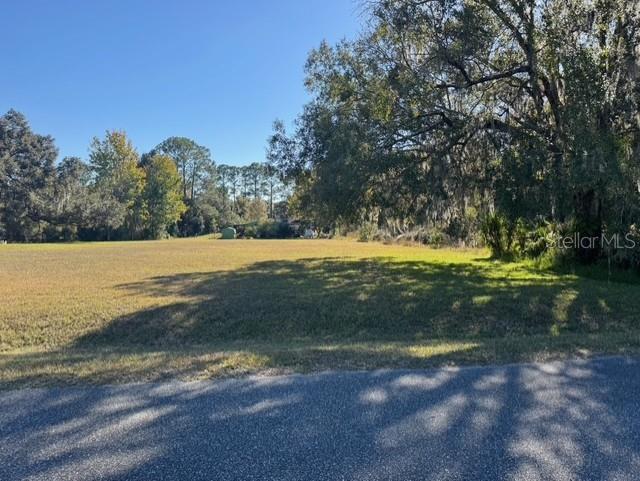 A grassy, vacant lot is bordered by a paved road and mature trees — Lots SW 229TH COURT, DUNNELLON, FL