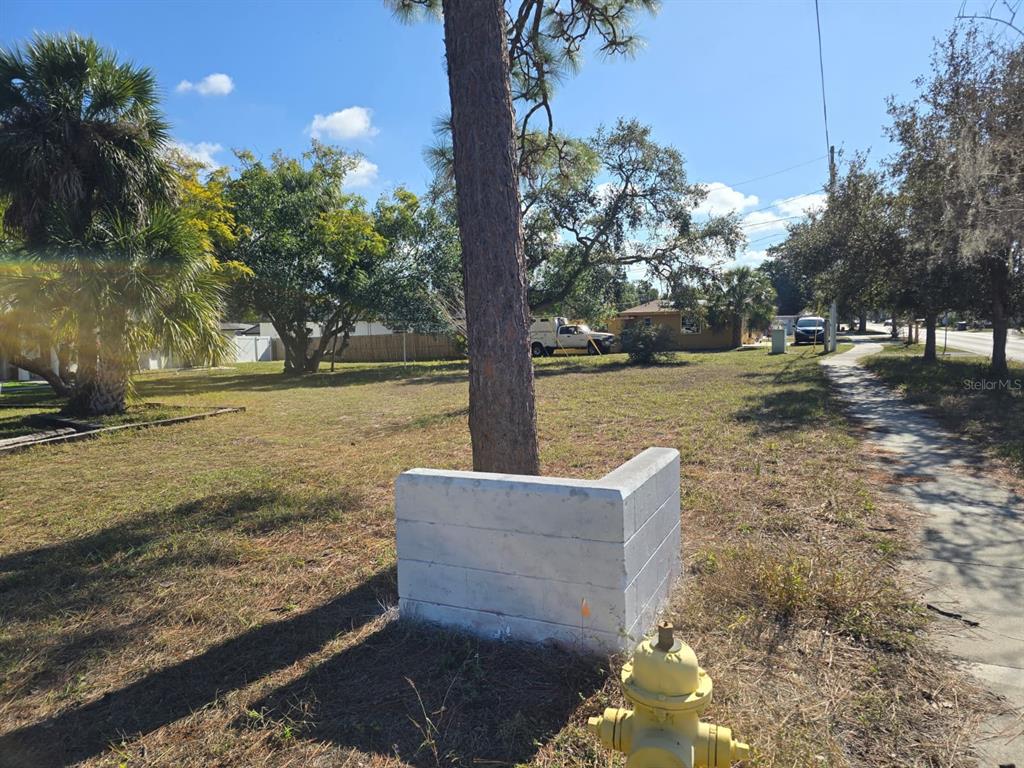MILWAUKEE AVENUE, DUNEDIN, FL — photo 3 of 7