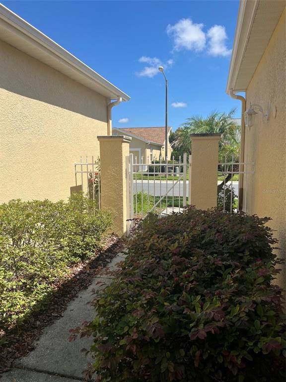 A walkway leads through a metal gate between two yellow stucco walls with landscaping — 7211 CLEOPATRA DRIVE, LAND O LAKES, FL