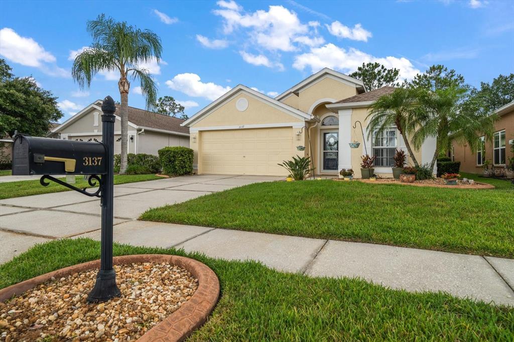 3137 BANYAN HILL LANE