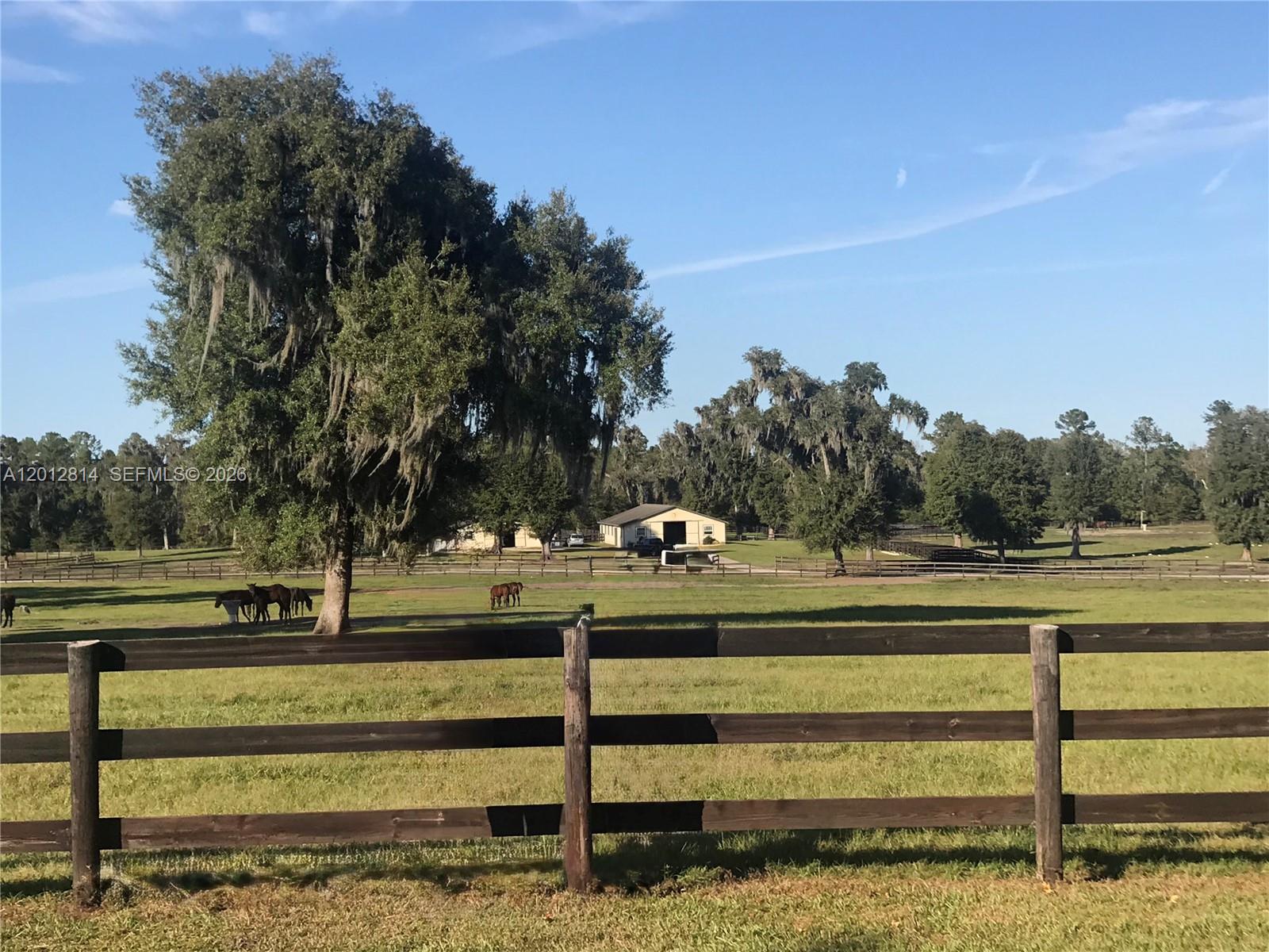 A wooden fence encloses a grassy pasture with several horses and a distant barn — 14500 N HWY 27, Ocala FL 34482, OCALA, FL