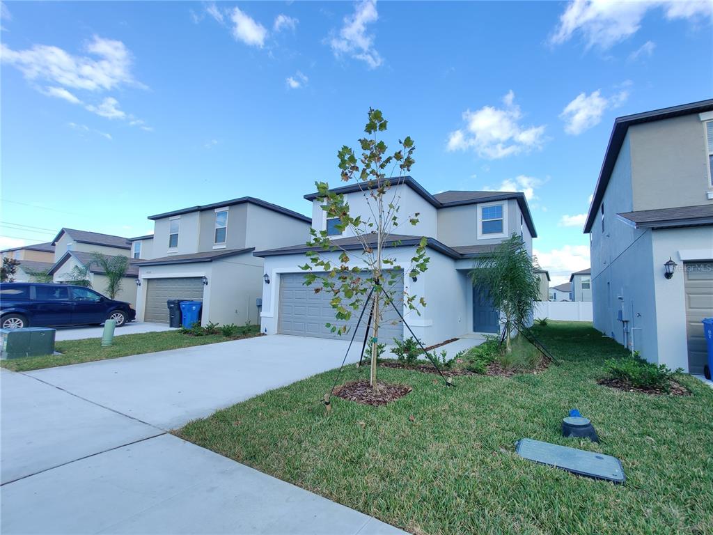 A two-story suburban house with a gray garage and a young tree in the yard — 4710 NORMAN OAK PLACE, TAMPA, FL