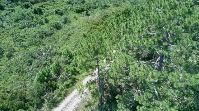 An aerial view shows a dirt path winding through a dense, wooded forest area — 3 SERENITY PLACE, PALM COAST, FL
