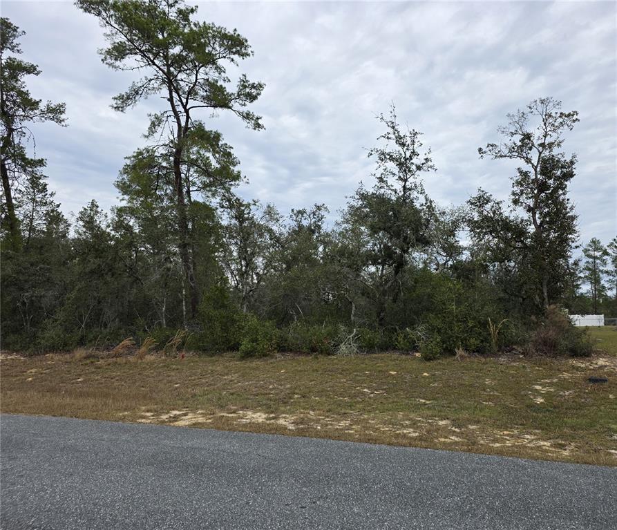 A vacant, wooded lot sits behind a paved road under a cloudy sky — 165 SW STREET ROAD, OCALA, FL