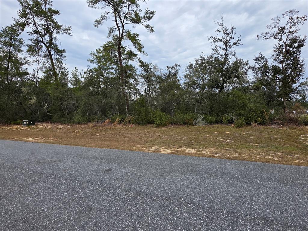 A vacant, wooded lot sits behind a paved road with a utility box on the left — 165 SW STREET ROAD, OCALA, FL