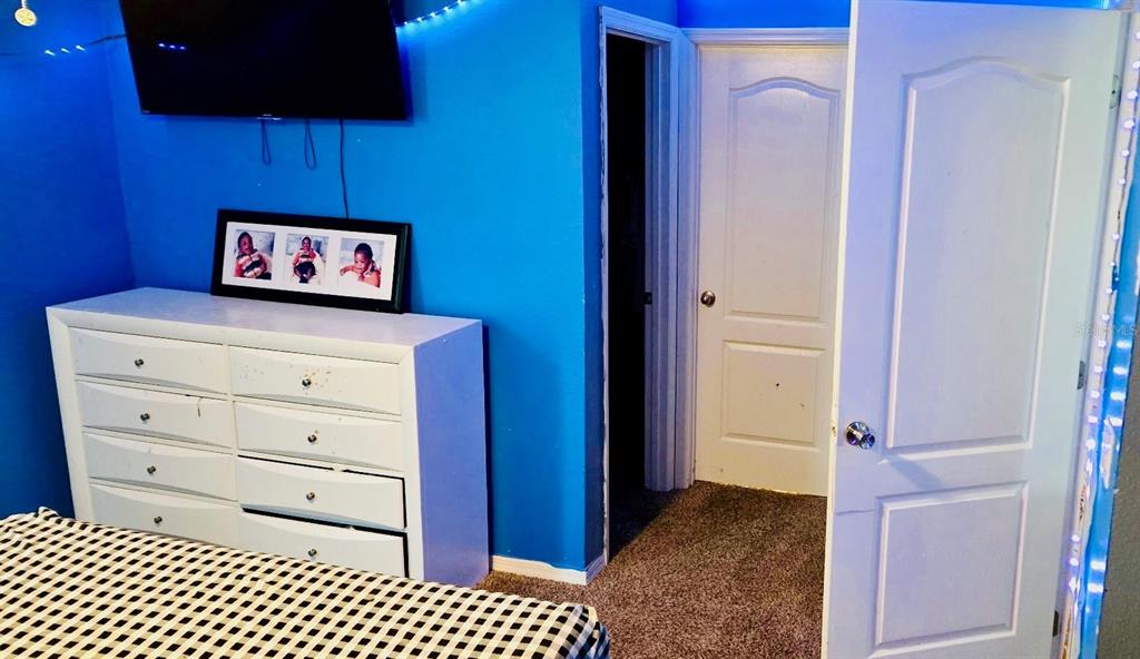 A bedroom features blue walls, a white dresser, a television, and two white doors — 1273 WATER WILLOW DRIVE, GROVELAND, FL
