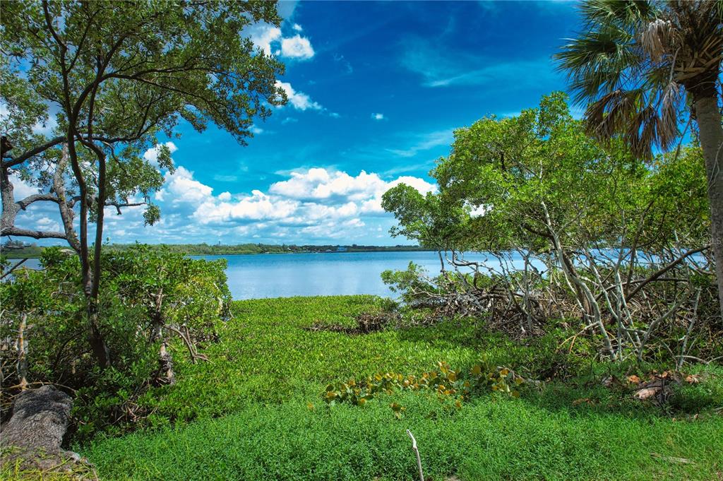 A view of a grassy shoreline leading to a calm body of water with trees — 160 BAYSHORE DRIVE, TERRA CEIA, FL