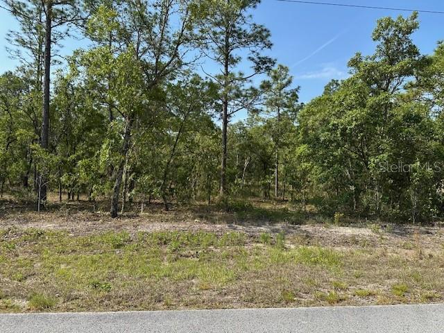 A vacant, wooded lot viewed from an adjacent paved road under a clear blue sky — Lot 20 SW ANCHOR BLVD, DUNNELLON, FL
