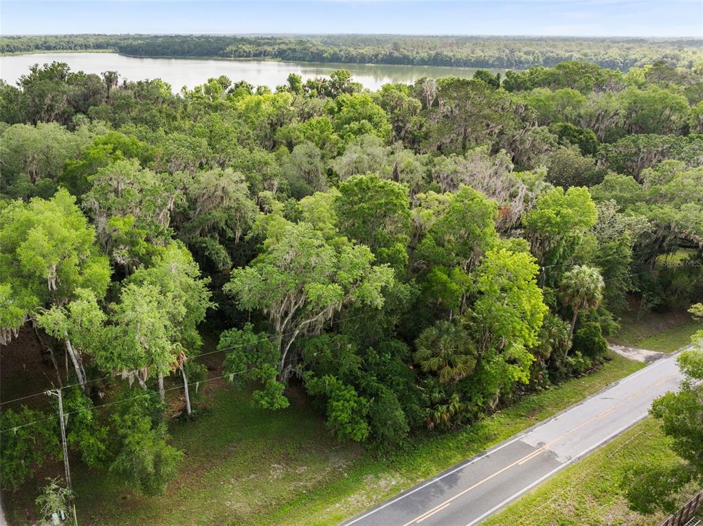 An aerial view shows a wooded lot bordering a lake next to a paved road — TBD SE WACAHOOTA ROAD, MICANOPY, FL