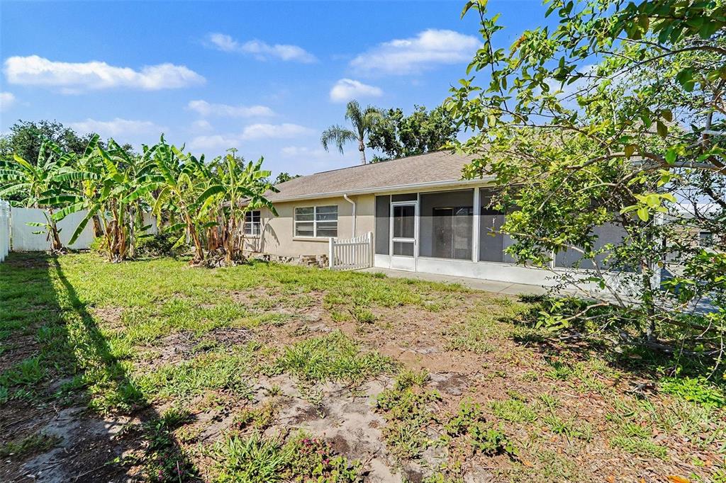 The backyard features a grassy lawn, banana trees, and a screened-in porch on the house — 7336 ASHMORE DRIVE, NEW PORT RICHEY, FL