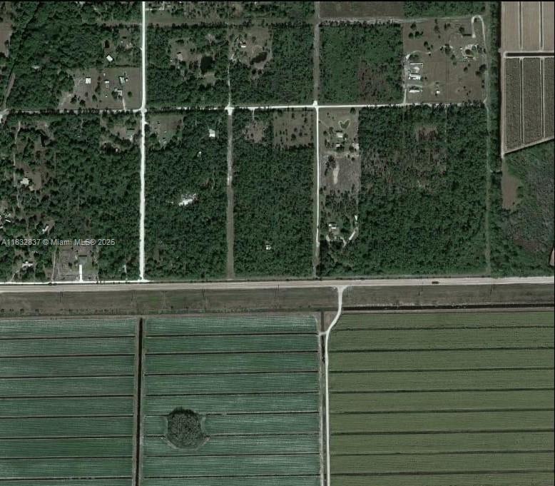 This aerial map shows a rural area with residential lots, wooded land, and agricultural fields — 305 Yeehaw Ave, Clewiston FL 33040, CLEWISTON, FL