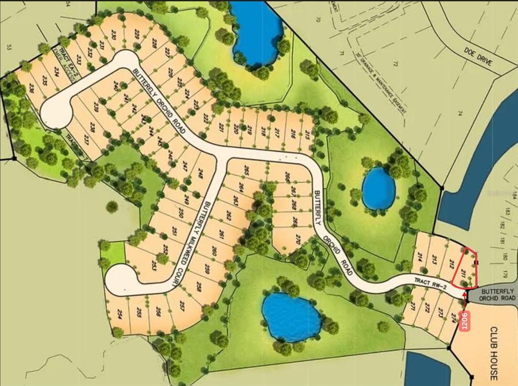 This is a site plan rendering showing residential lots, roads, and common areas — 1206 BUTTERFLY ORCHID ROAD, DAVENPORT, FL
