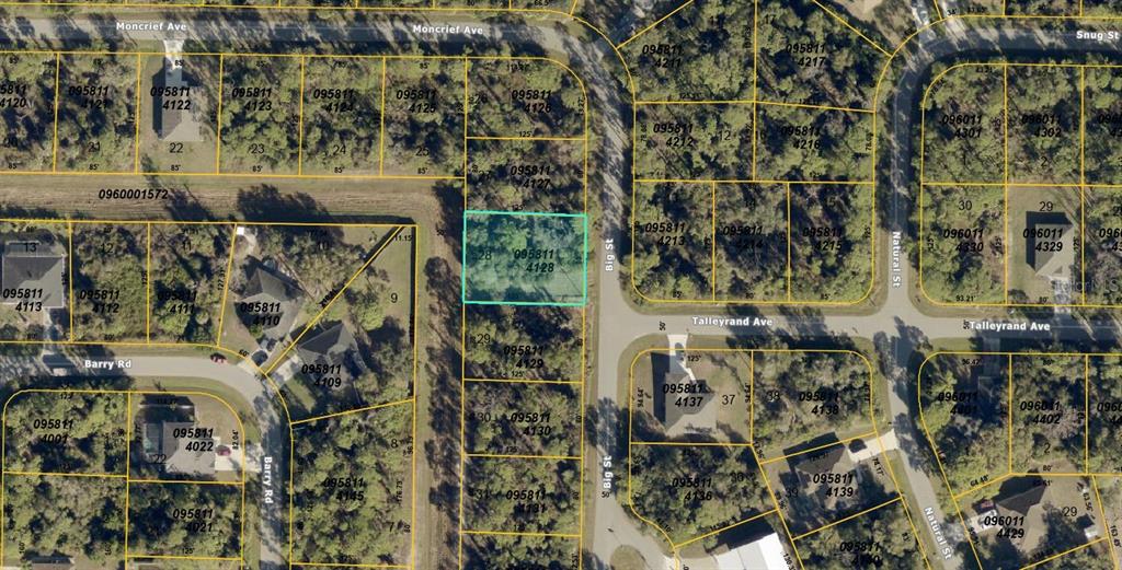 This is an aerial map showing a vacant lot highlighted in blue within a residential neighborhood — BIG STREET, NORTH PORT, FL