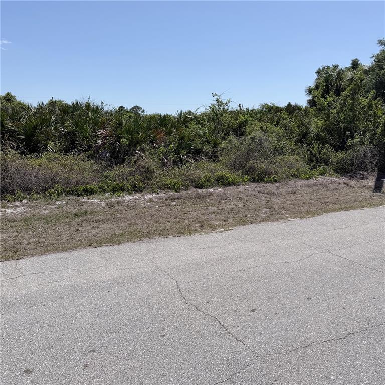 A paved road borders a vacant, overgrown lot with dense shrubs and palm trees — Lot 22 AMERICANA AVENUE, NORTH PORT, FL