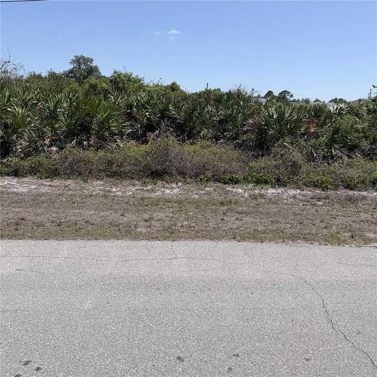 A paved road runs in front of a vacant, overgrown lot with dense vegetation — Lot 22 AMERICANA AVENUE, NORTH PORT, FL