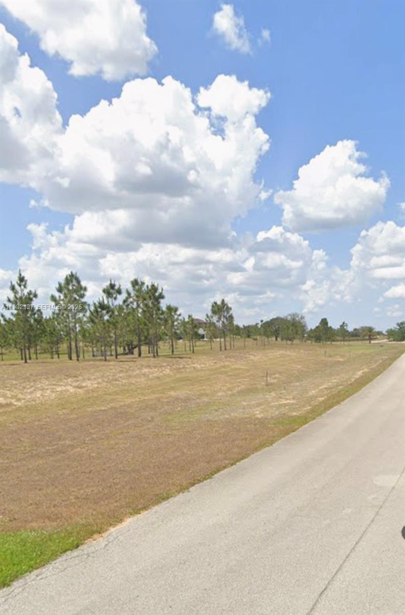 A paved road runs alongside a large, grassy vacant lot with scattered pine trees — 1009 ORANGE CREEK LN, Sebring FL 33870, SEBRING, FL