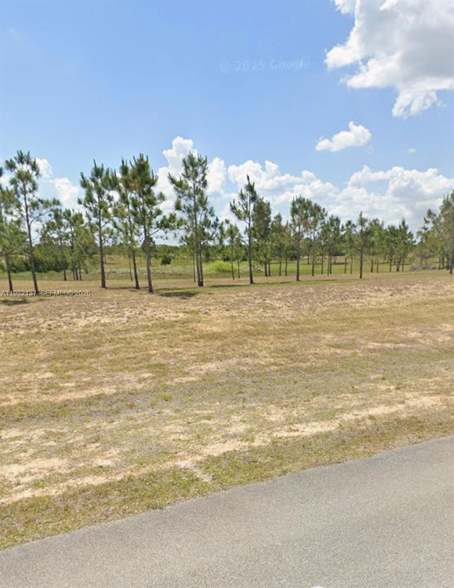 A paved road borders a grassy, undeveloped lot with a line of pine trees — 1009 ORANGE CREEK LN, Sebring FL 33870, SEBRING, FL
