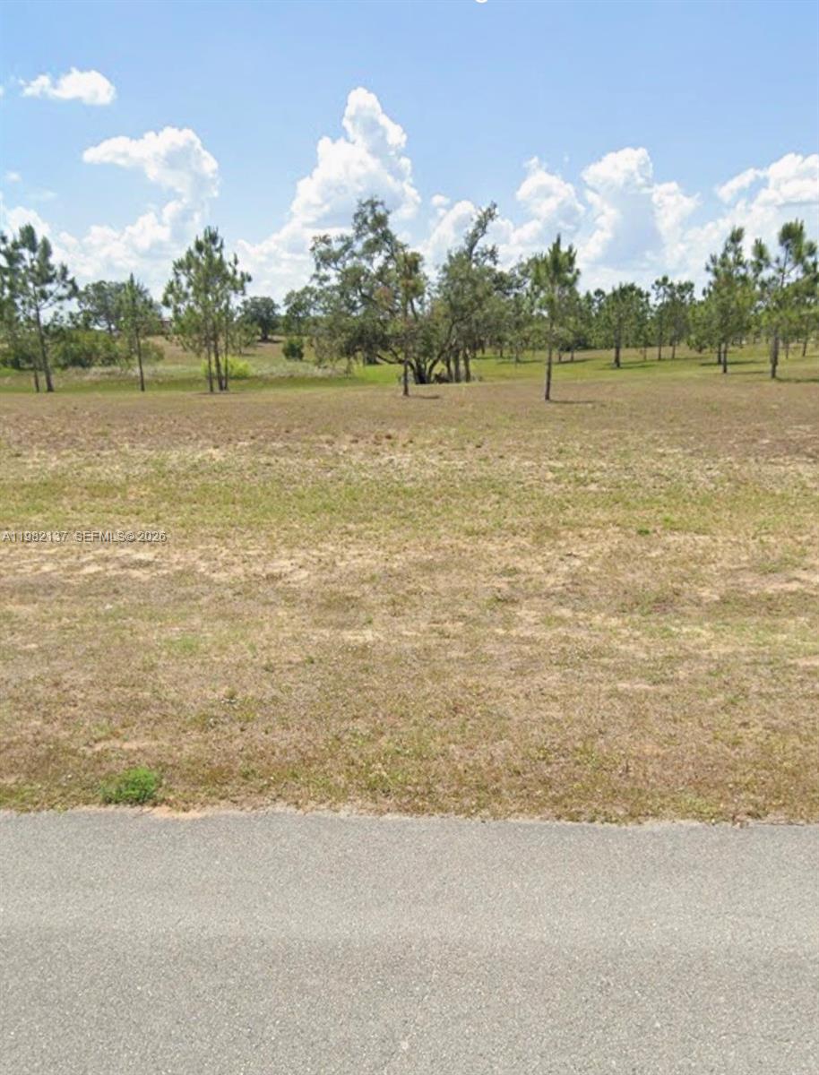 A view of an empty, grassy lot with scattered trees under a blue sky — 1009 ORANGE CREEK LN, Sebring FL 33870, SEBRING, FL
