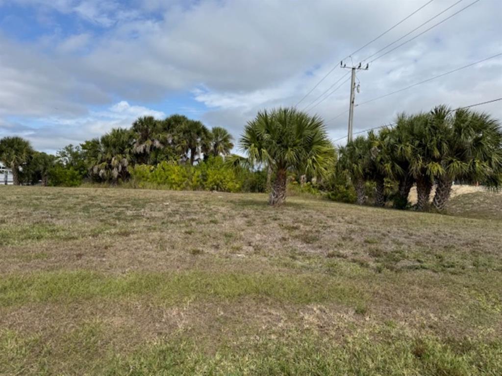 A grassy, vacant lot features several palm trees and a utility pole under a cloudy sky — 18790 MACGILL AVENUE, PORT CHARLOTTE, FL