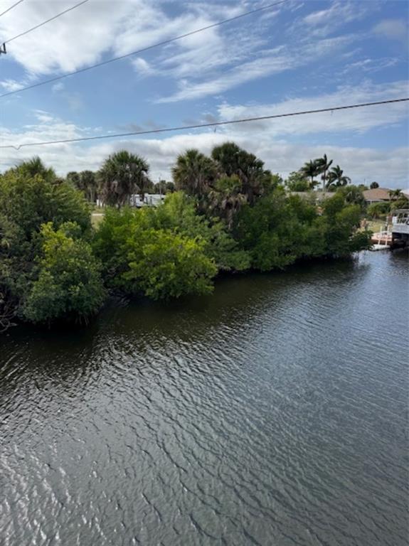 A view of a canal lined with mangroves and palm trees under a cloudy sky — 18790 MACGILL AVENUE, PORT CHARLOTTE, FL