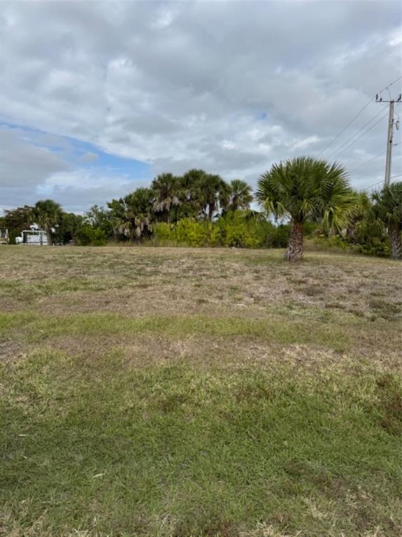 A vacant, grassy lot features several palm trees and a utility pole under a cloudy sky — 18790 MACGILL AVENUE, PORT CHARLOTTE, FL