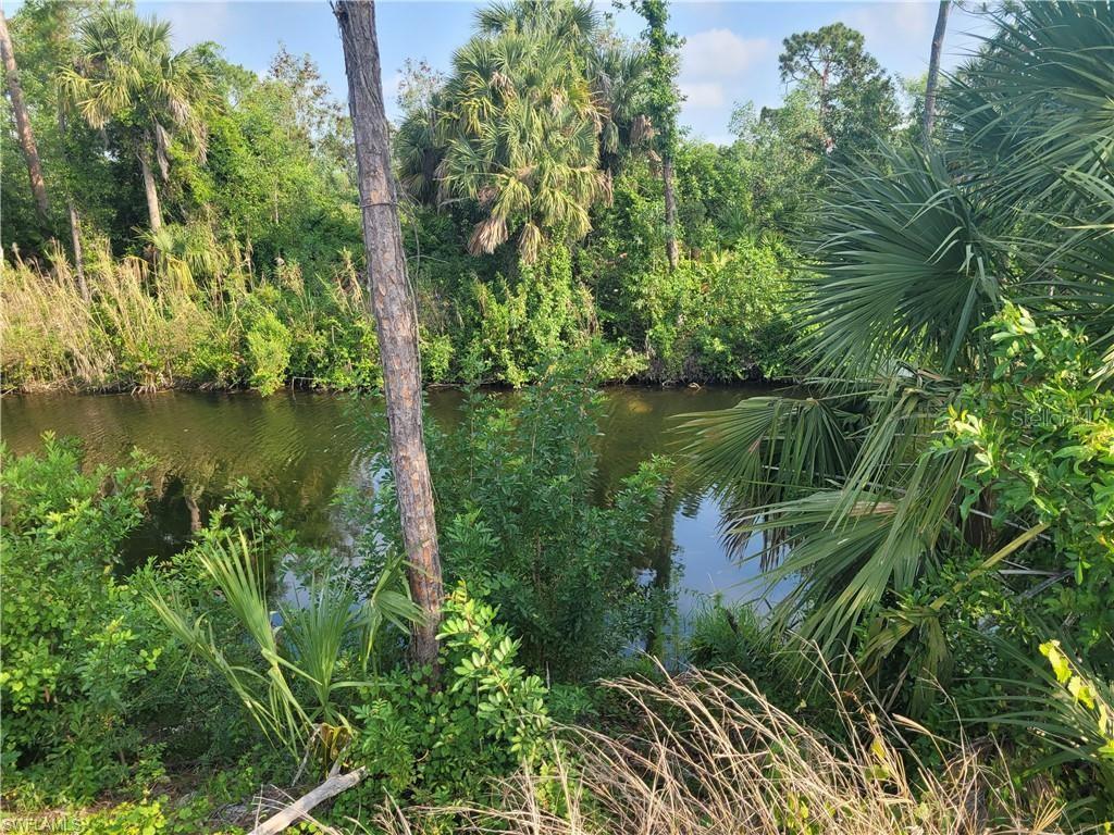 A view of a narrow canal bordered by dense tropical vegetation and palm trees — 31 WILMINGTON PARKWAY, CAPE CORAL, FL