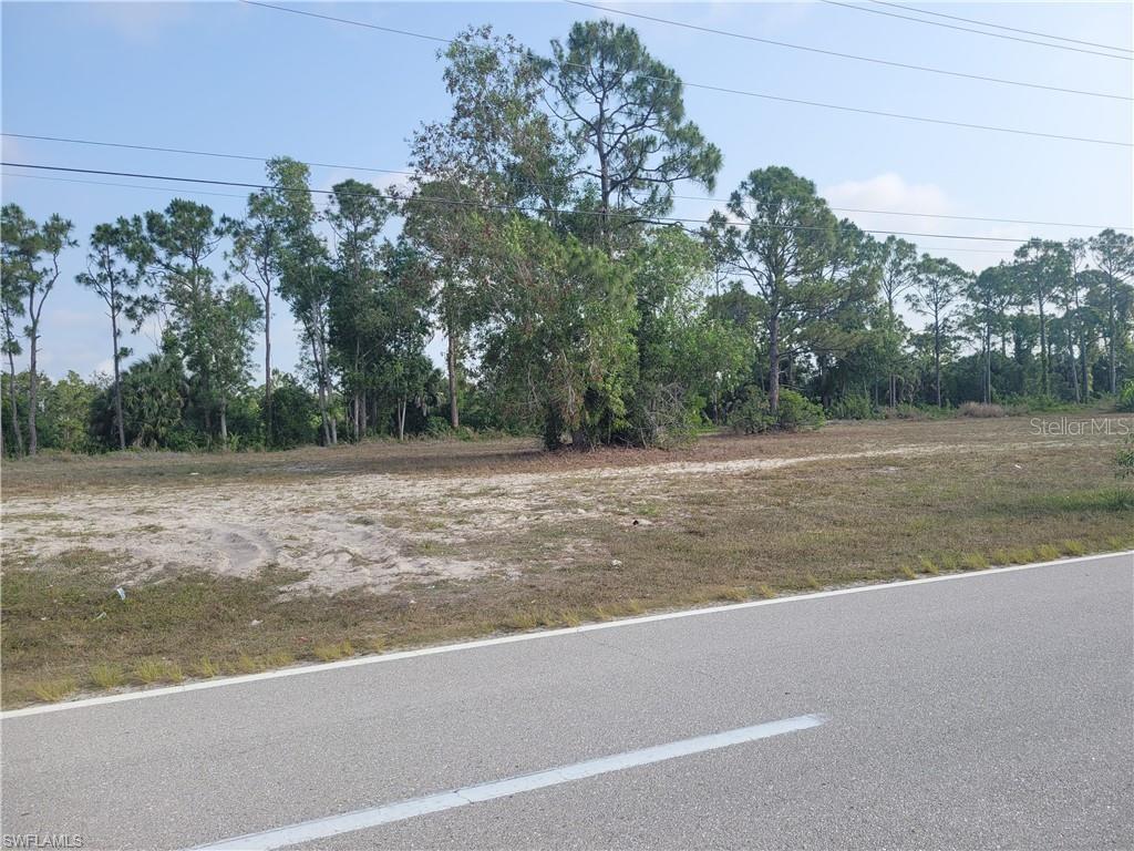 A paved road runs in front of a vacant, partially wooded lot — 31 WILMINGTON PARKWAY, CAPE CORAL, FL