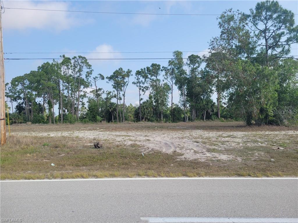 A vacant, sandy lot is bordered by a line of tall pine trees — 31 WILMINGTON PARKWAY, CAPE CORAL, FL