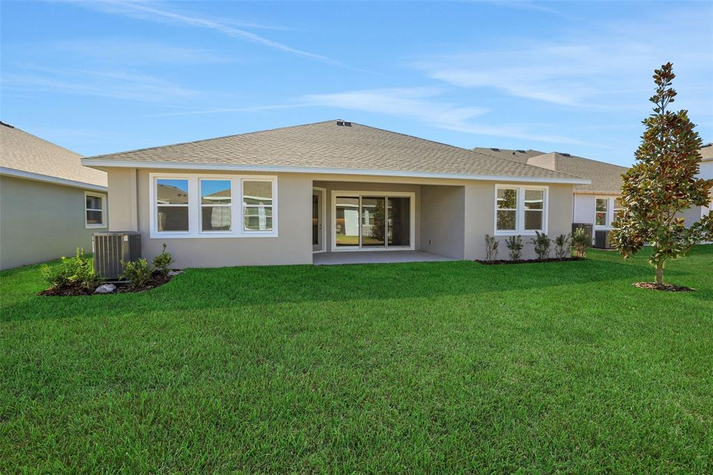 The exterior rear view of a single-story house features a lawn, patio, and landscaping — 17429 VALLEYWOOD PARKWAY, LAND O LAKES, FL