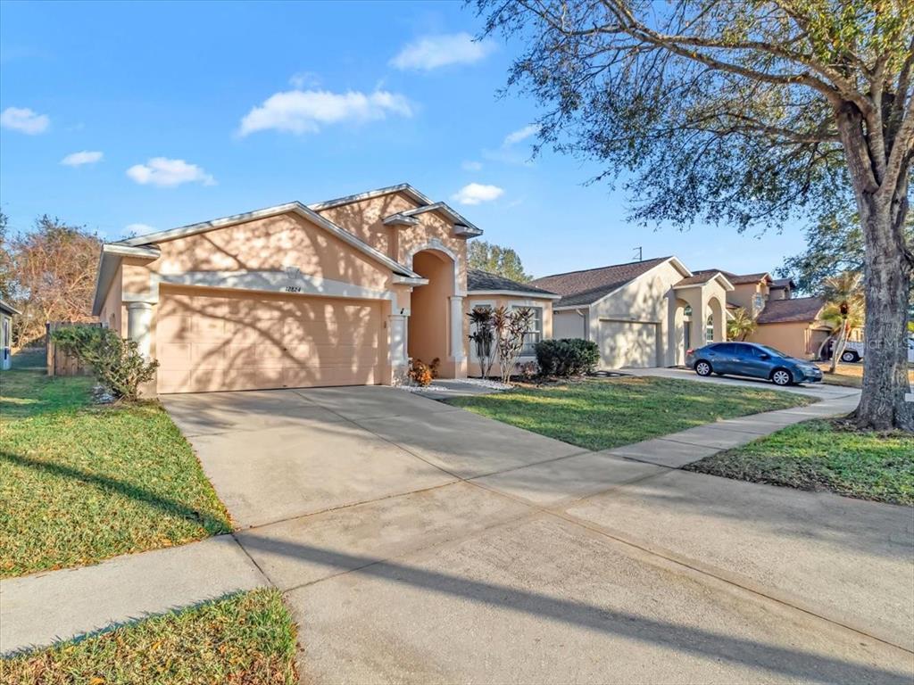 12824 KINGS LAKE DRIVE