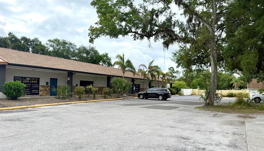 A single-story commercial building with a parking lot and palm trees under a cloudy sky — 4211 E BUSCH BOULEVARD UNIT A, TAMPA, FL