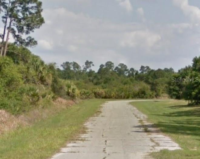 A narrow, weathered concrete road leads toward a dense line of trees and green vegetation — BITTERBUSH ROAD, NORTH PORT, FL