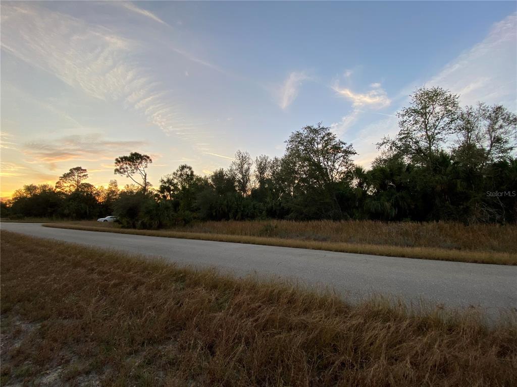 A paved road runs alongside a grassy field with trees under a sunset sky — WHALING ROAD, NORTH PORT, FL
