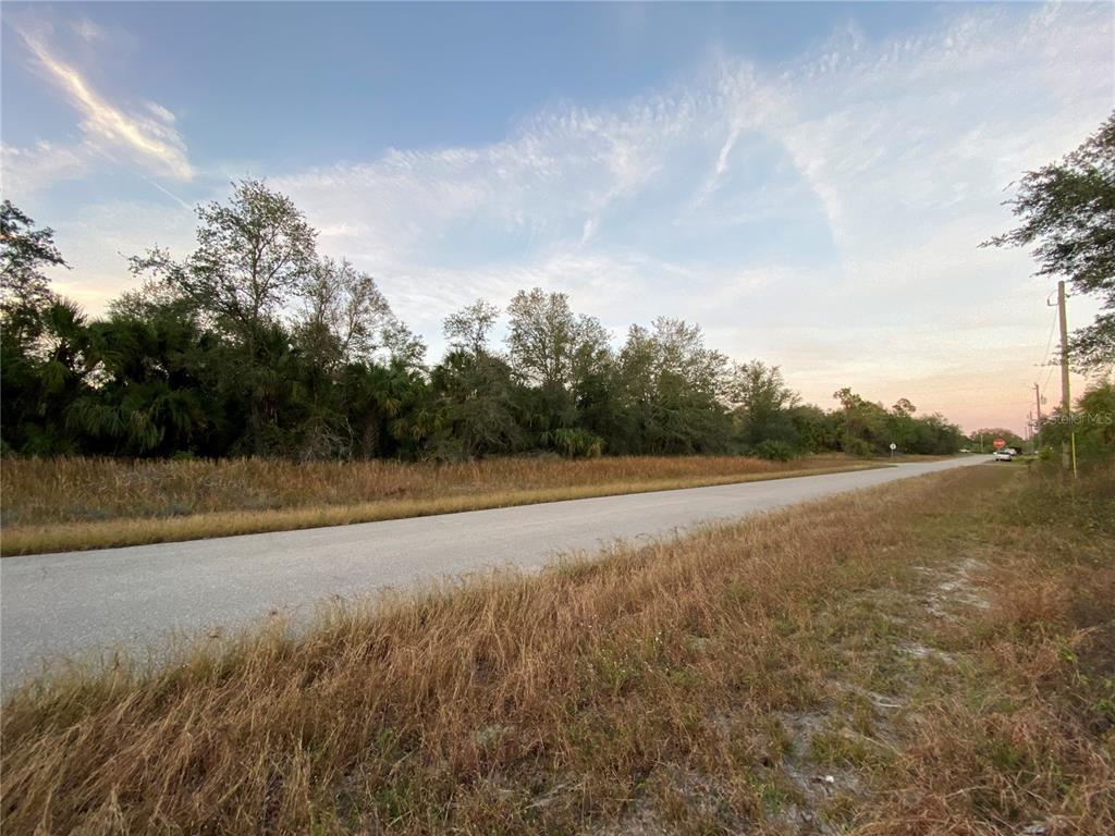 A paved road runs alongside a grassy lot bordered by a dense line of trees — WHALING ROAD, NORTH PORT, FL