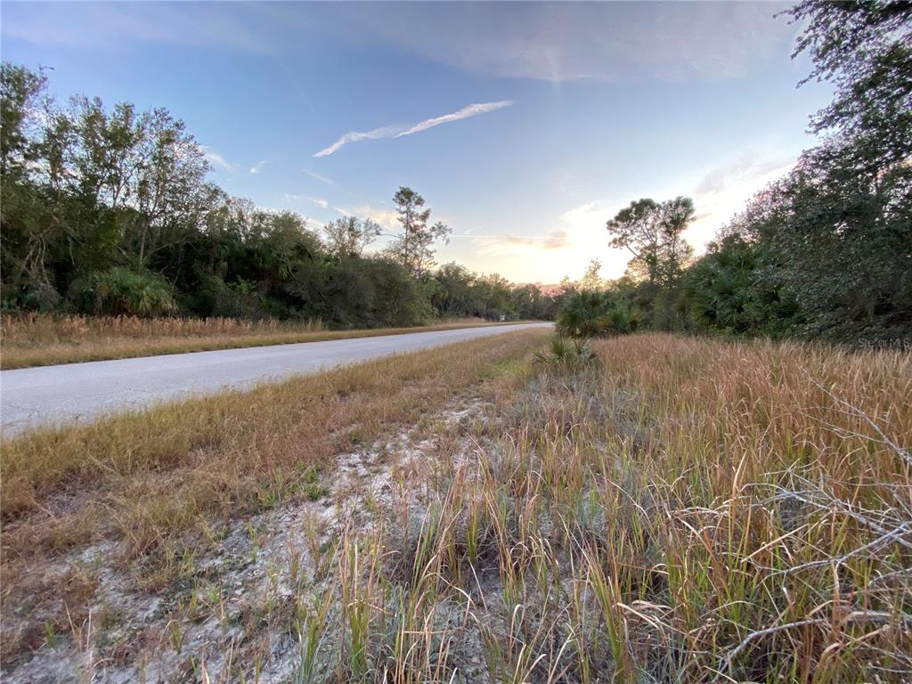 A paved road stretches past a grassy, undeveloped lot bordered by trees under a sunset sky — WHALING ROAD, NORTH PORT, FL