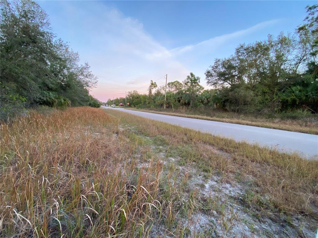 A paved road runs alongside a grassy, undeveloped lot with trees under a clear sky — WHALING ROAD, NORTH PORT, FL