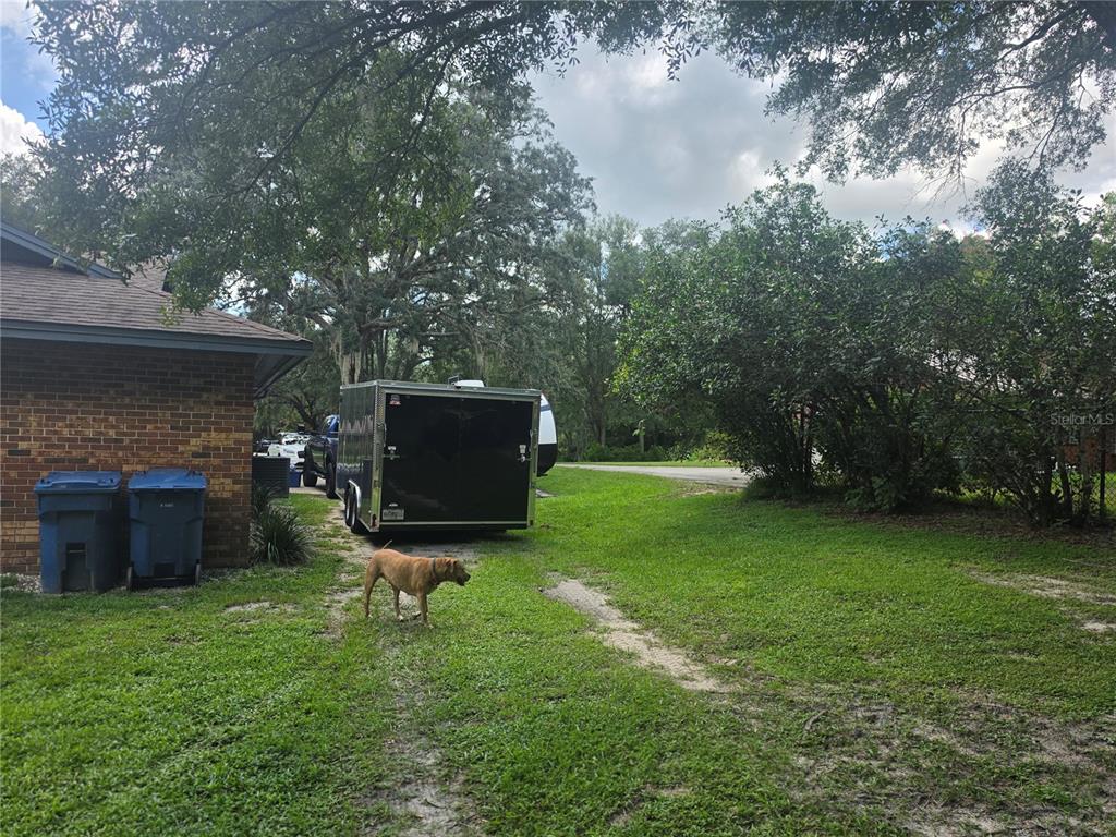 A brown dog stands on a grassy lawn next to a black trailer and house — 2417 S OAK PARK DRIVE, DELAND, FL