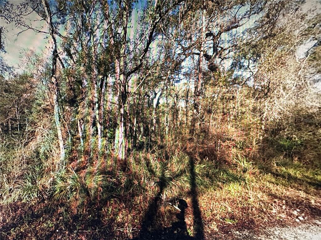TABLE ROCK DRIVE, WEBSTER, FL — photo 2 of 10