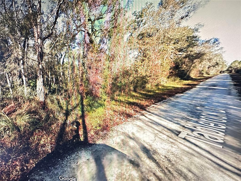 TABLE ROCK DRIVE, WEBSTER, FL — photo 4 of 10