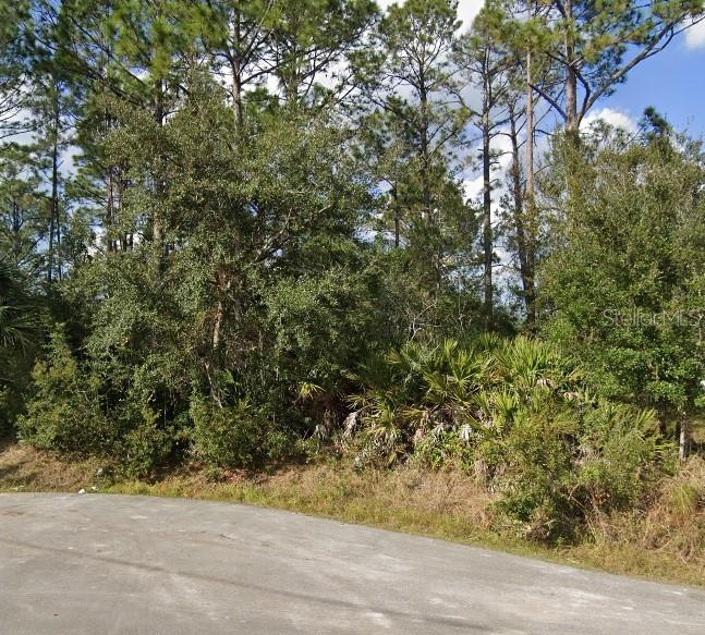 A paved road curves in front of a wooded lot with dense trees and palmettos — 16 SLEEPING BEAUTY PLACE, PALM COAST, FL