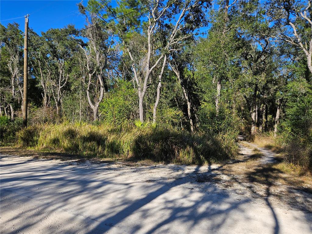 BERRYHILL DRIVE