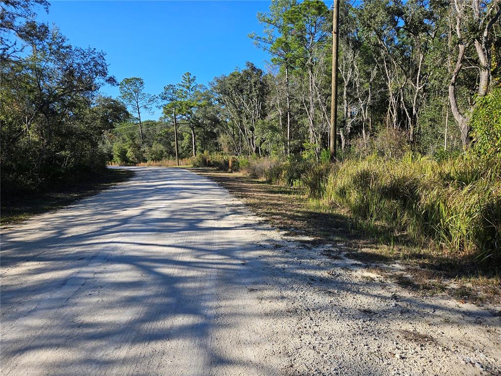 BERRYHILL DRIVE, WEBSTER, FL — photo 2 of 16