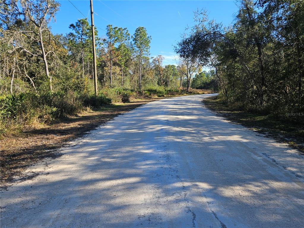 BERRYHILL DRIVE, WEBSTER, FL — photo 3 of 16