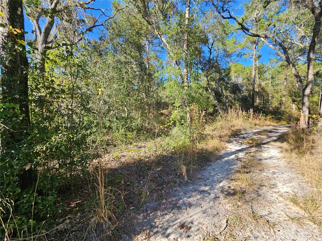 BERRYHILL DRIVE, WEBSTER, FL — photo 4 of 16