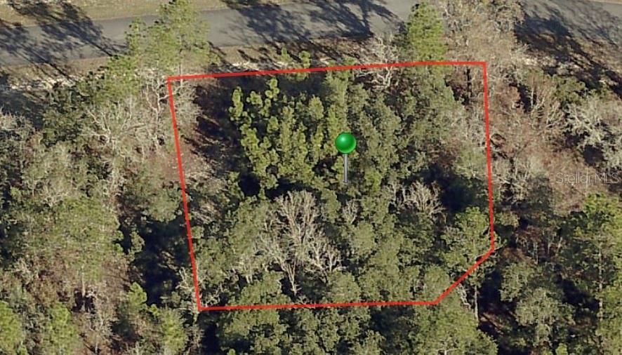 An aerial view shows a wooded, rectangular plot of land outlined in red — 3198 W MONTGOMERY LANE, CITRUS SPRINGS, FL